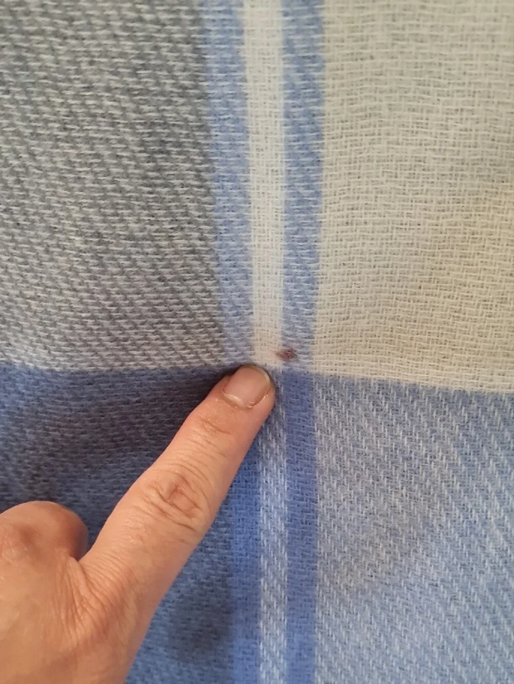 💥3for$15💥Blue and Cream Plaid Scarf